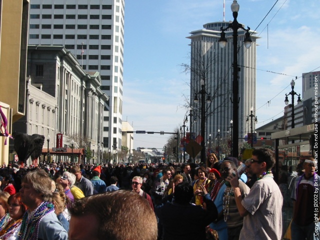 Canal Street at the parade
